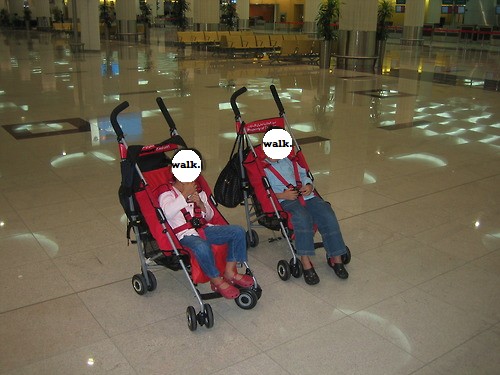 2big4stroller.jpg