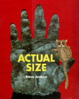 actual_size.jpg
