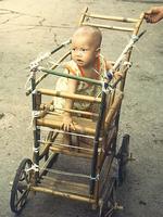 bamboo pushchair