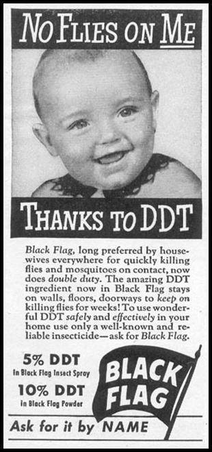 black_flag_ddt_ad_awkwardfamily.jpg