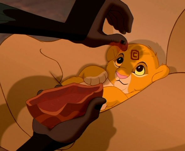 branding_simba.jpg