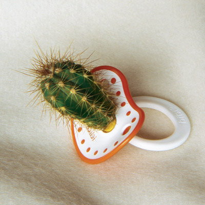 [http://daddytypes.com/archive/cactus_pacifier.jpg]