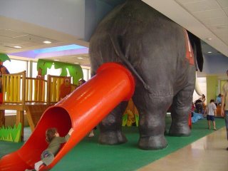 elephant_butt_slide_telaviv.jpg