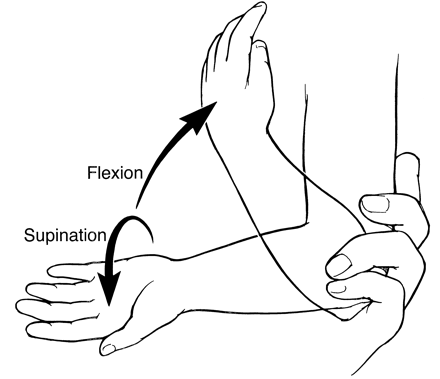 flexion_supination.gif