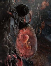 matrix_fetus.jpg