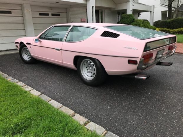 mrs_stern_pink_espada.jpg