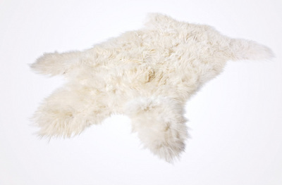 polar_bear_rug_birkiland.jpg