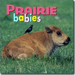 prairie_babies.jpg