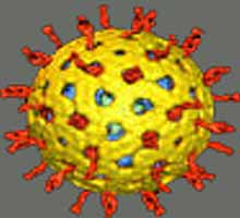 rotavirus.jpg