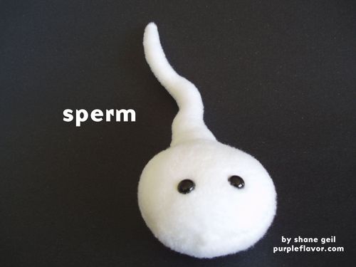 shane_geil_plush_sperm.jpg