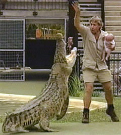 steve_irwin_baby_croc.jpg