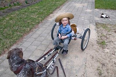 sweet_juniper_amish_dogwagon.jpg