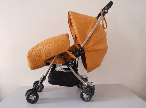 ostrich_stroller_morell1.jpg